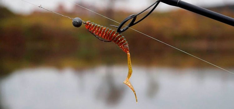 Jig equipment and its installation: types of jig equipment, pike fishing