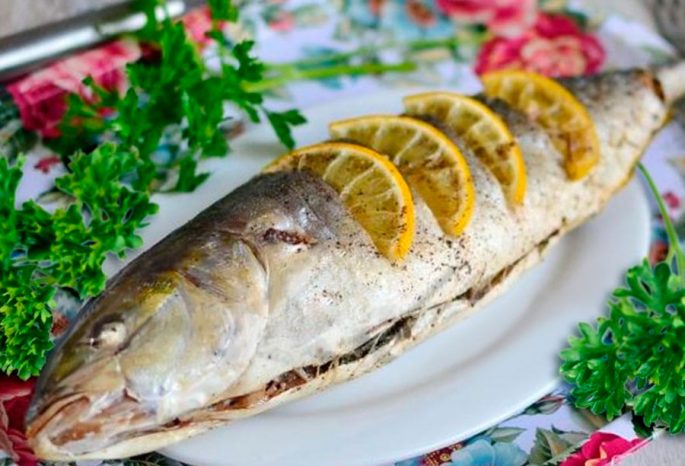 Lacedra fish (yellowtail): a description with a photo, where it is found, what it eats