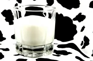Lactose intolerance? 7 symptoms you need to know!