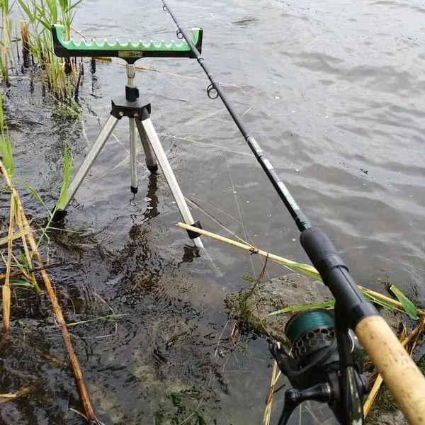 Lentil feeder bait