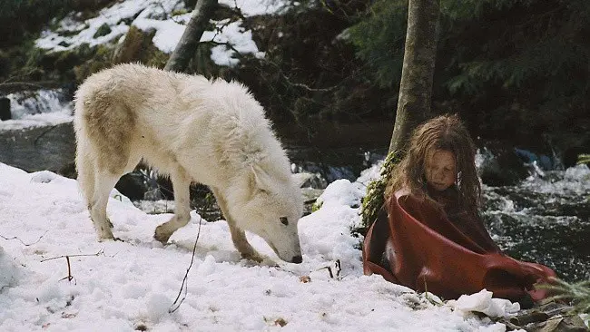 List of the most fascinating films about wolves