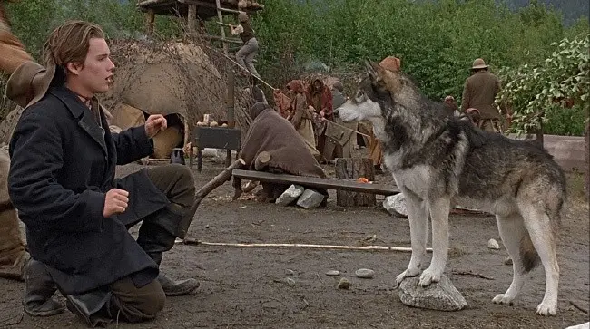 List of the most fascinating films about wolves