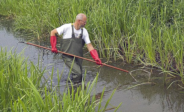 Loach fishing: what to catch loach, tackle and bait