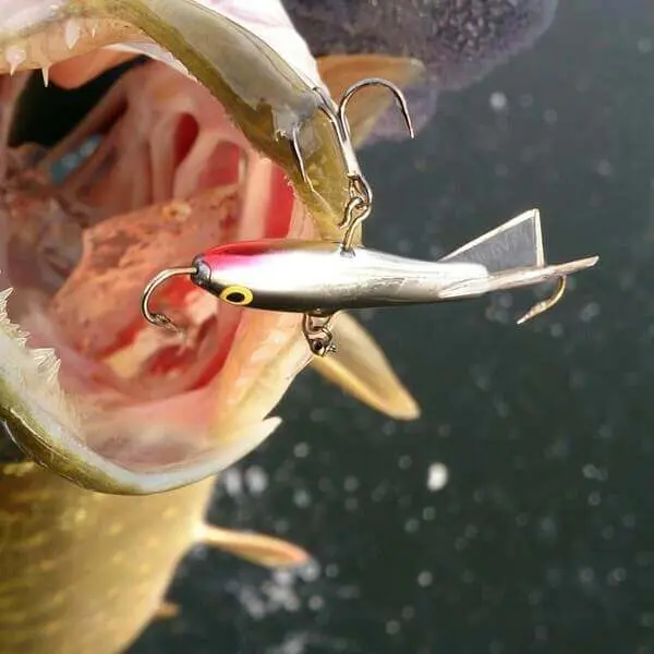 Lures for pike