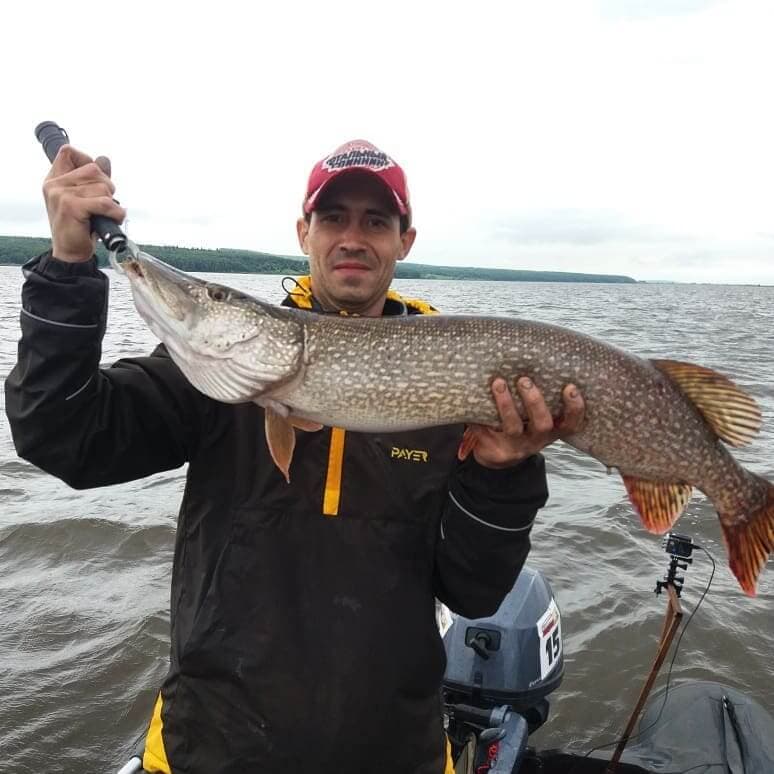 Lures for pike in autumn: the most catchy options