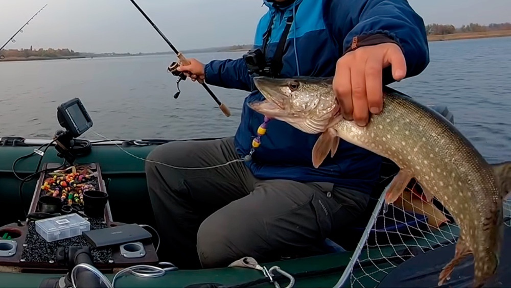 Mandala for fishing: what is it, how to catch pike on it, features
