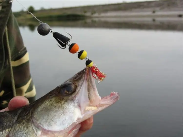 Mandula for pike perch: choice of color and size, fishing technique, tackle used