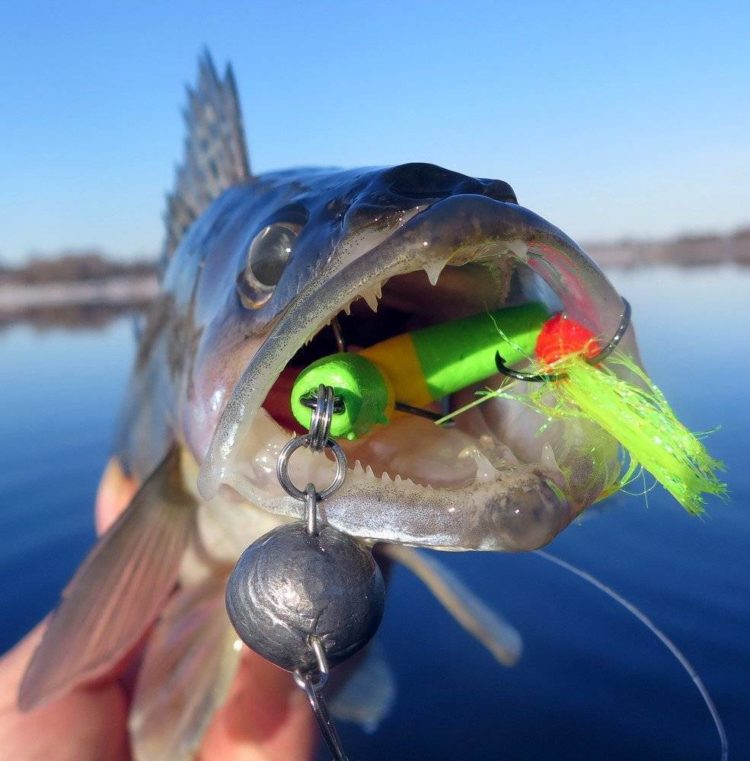 Mandula for pike perch: choice of color and size, fishing technique, tackle used