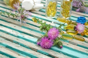 Milk thistle &#8211; a plant for the liver and more!