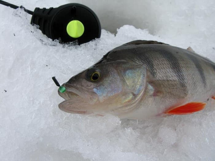 Mormyshkas for winter fishing
