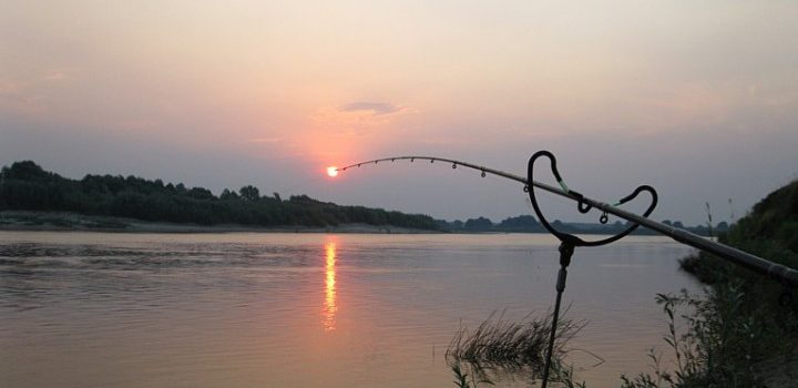 Night fishing on the feeder, catfish, chub, burbot and silver bream