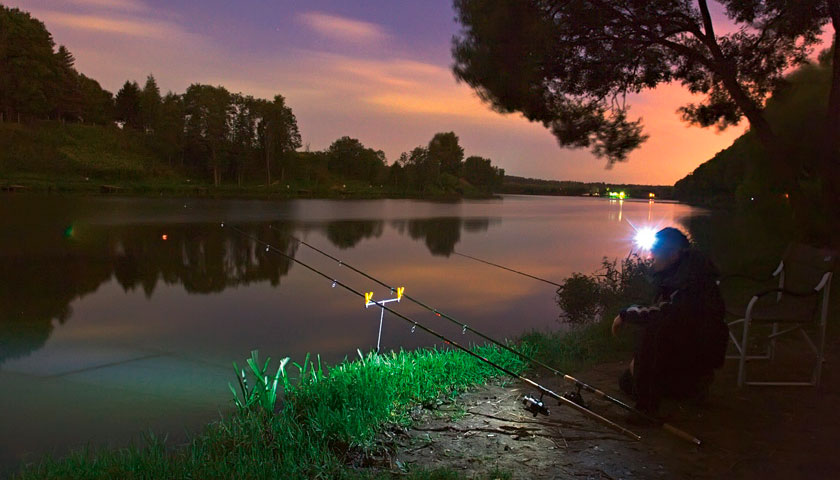 Night fishing on the feeder, catfish, chub, burbot and silver bream