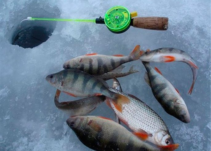 No-bait mormyshkas for winter fishing: catchy and homemade