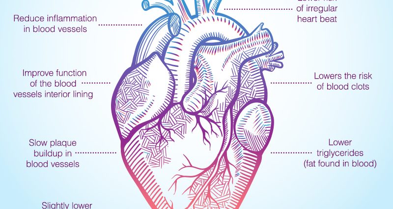 Omega-3 fatty acids help treat heart disease