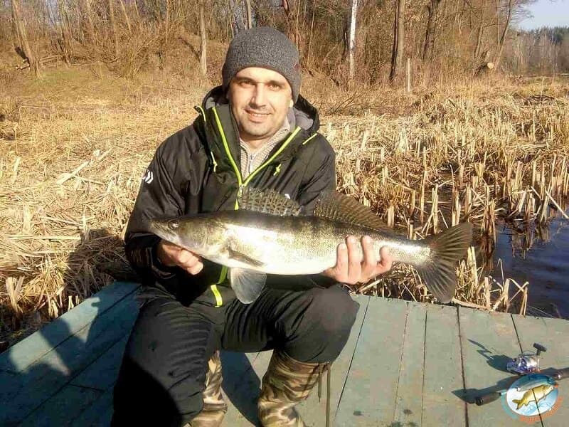 Paid fishing in the Moscow region without a catch rate