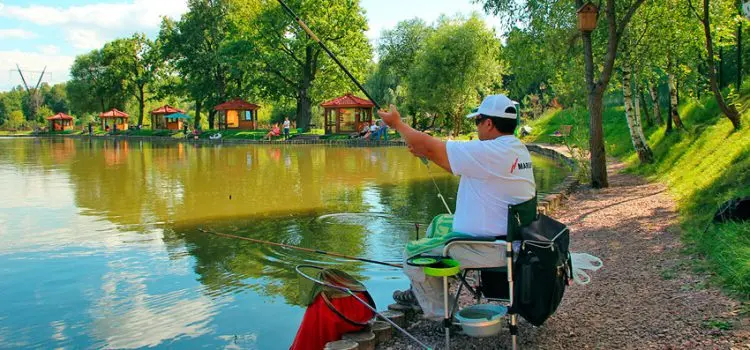 Paid fishing in the Moscow region without a catch rate, fishing clubs