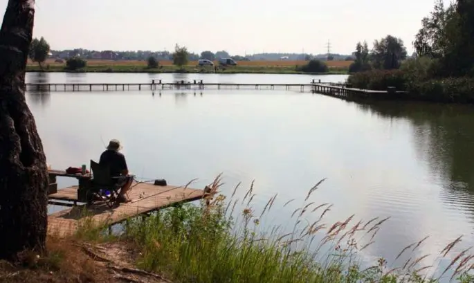 Paid fishing in the Moscow region without a catch rate, fishing clubs