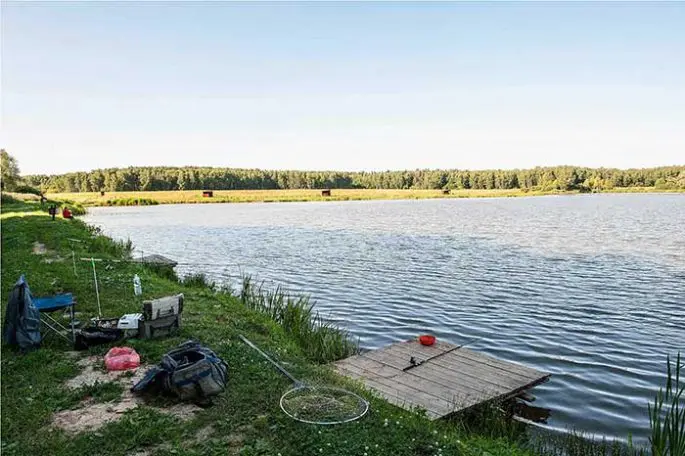 Paid fishing in the Moscow region without a catch rate, fishing clubs