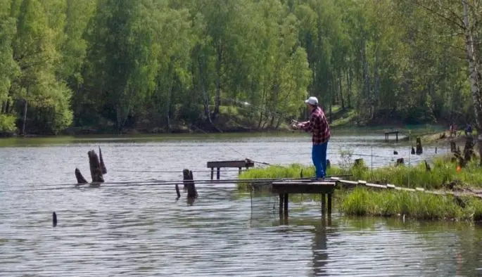 Paid fishing in the Moscow region without a catch rate, fishing clubs