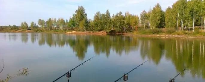 Paid fishing in the Moscow region without a catch rate, fishing clubs