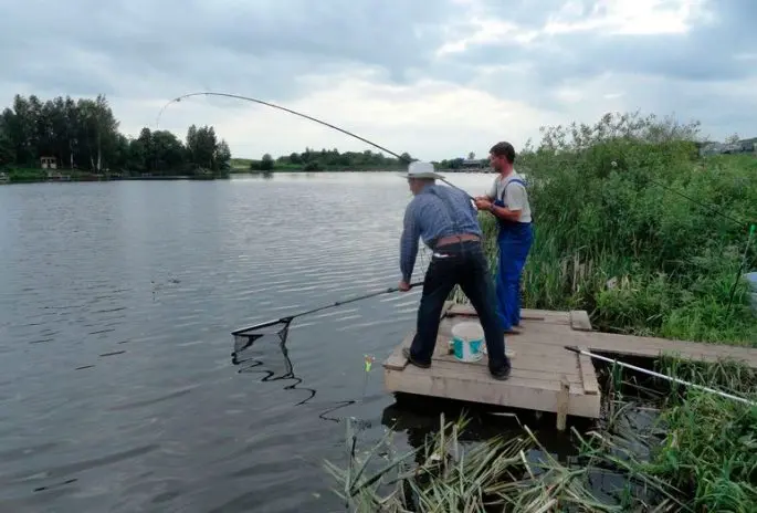 Paid fishing in the Moscow region without a catch rate, fishing clubs