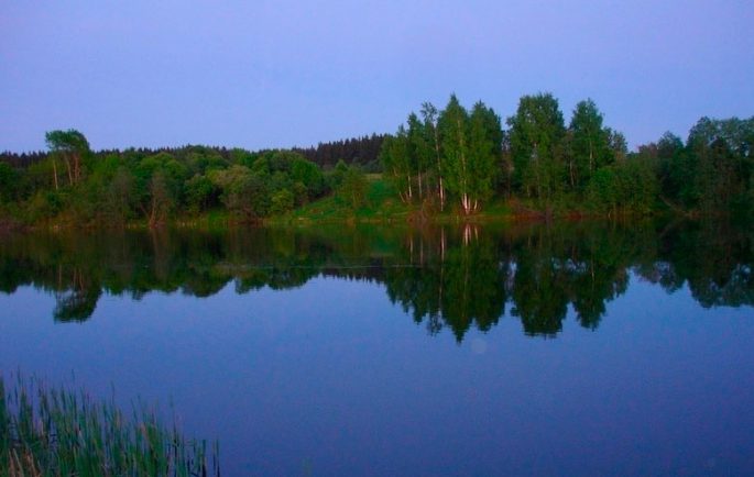 Paid fishing in the Moscow region without a catch rate, fishing clubs
