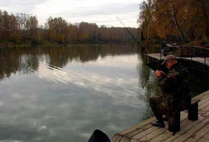 Paid fishing in the Moscow region without a catch rate, fishing clubs