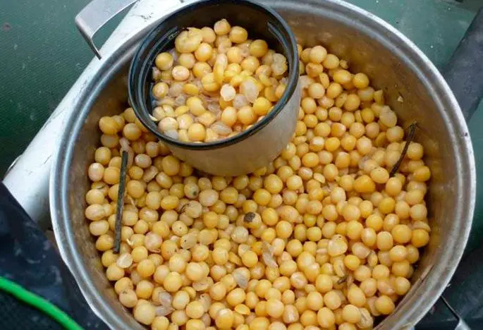 Peas for fishing: how to cook, how to plant