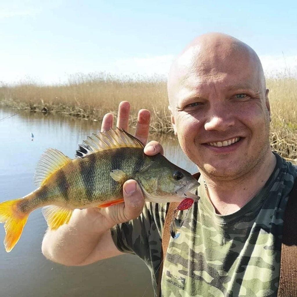 Perch fishing in February: fishing methods and tactics