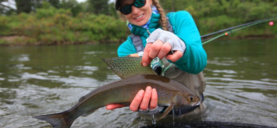 Photo of catching grayling fish: rafting for grayling on small rivers