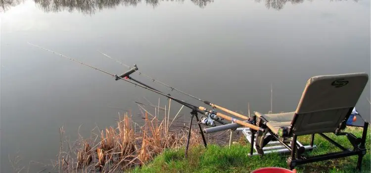 Picker fishing: equipment and techniques for catching crucian carp, bream, carp