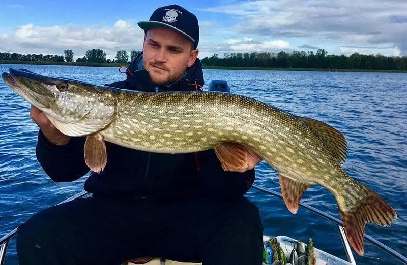 pike biting calendar