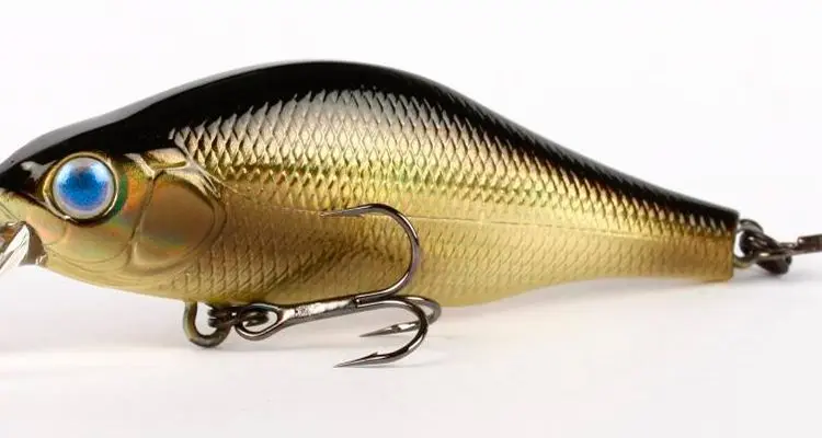Pike fishing by twitching. Top 5 best wobblers for twitching