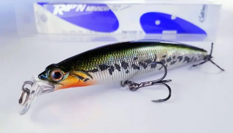 Pike fishing by twitching. Top 5 best wobblers for twitching