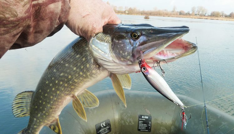 Pike fishing by twitching. Top 5 best wobblers for twitching