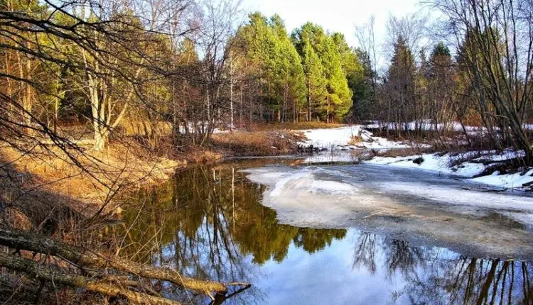 Pike fishing in March: where to look and what to catch