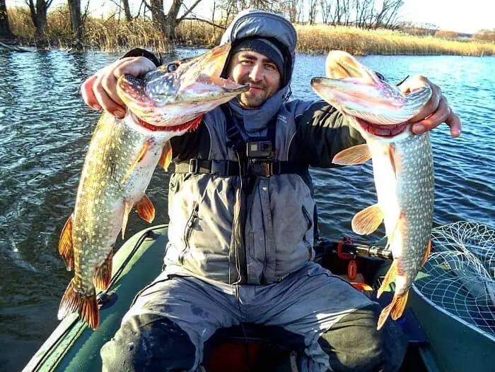 Pike fishing in October for spinning