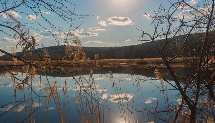 Pike fishing in spring: finding fish, fishing methods and bait