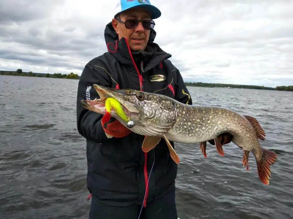 Pike fishing on a jig in autumn