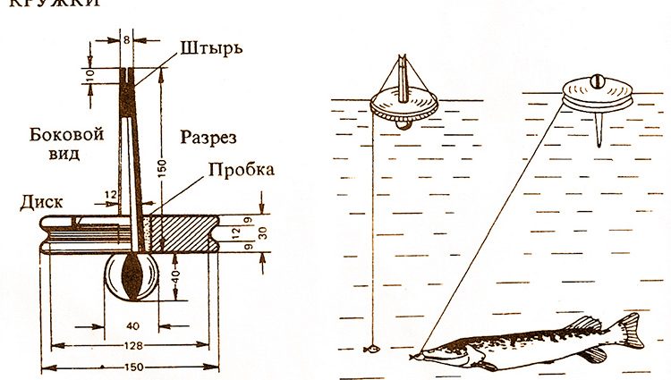 Snoekhengel op bekers: ontwerp, toerusting, visvangmetodes op mere en riviere