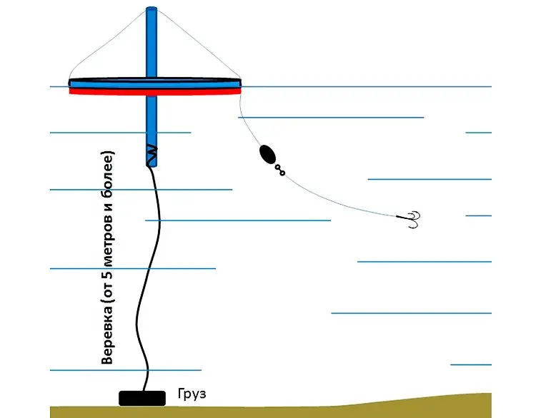 Pike fishing on mugs: design, equipment, fishing methods on lakes and rivers