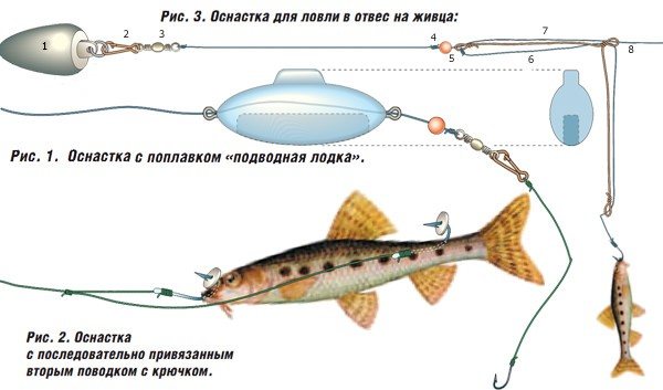Pike fishing on the donk: tackle and types of equipment, fishing tactics