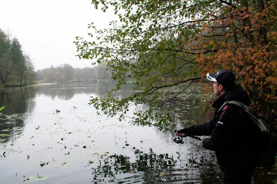 Pike in autumn: where to look, how and what to catch. Autumn zhor pike