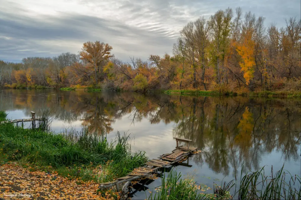 Pike in autumn: where to look, how and what to catch. Autumn zhor pike