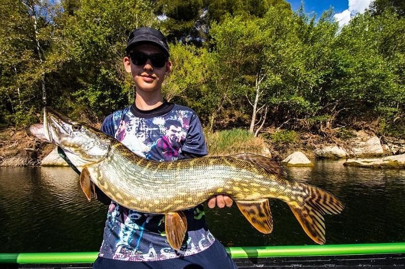 Pike in March: is it possible to catch?