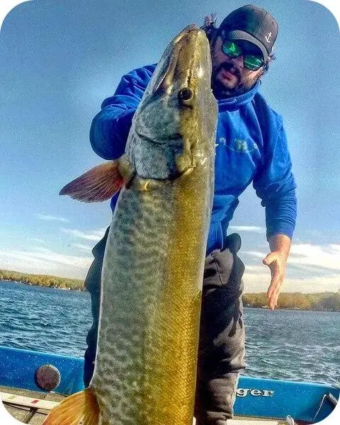 pike species