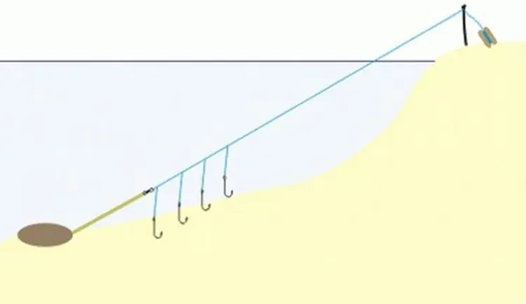 Rigging for zander with live bait from the shore: tackle and installation