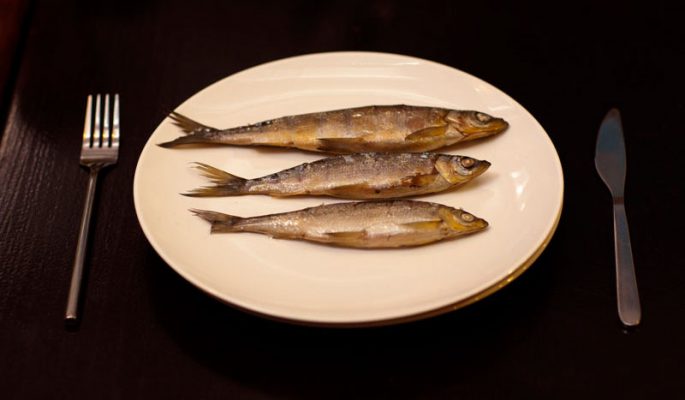 Ripus fish: description, habitat, fishing, cooking recipes