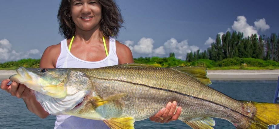 Robalo fish: ways and places to catch sea fish