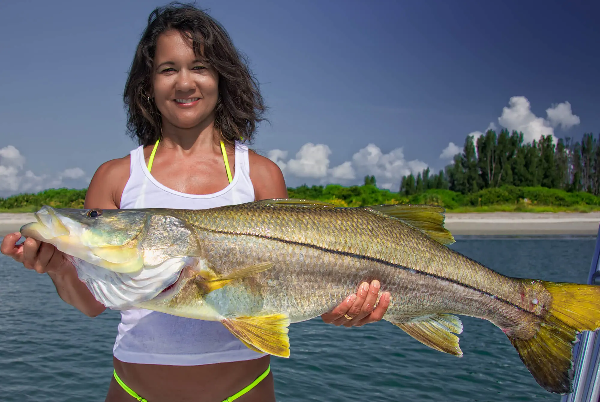 Robalo fish: ways and places to catch sea fish